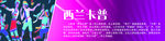 西兰卡普