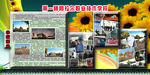 学校展板