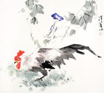 雄鸡