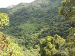 羊台山 山水风景 自然