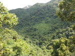 羊台山 山水风景 自然
