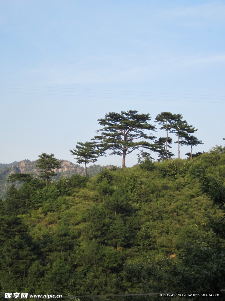 自然风景
