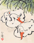 鹅