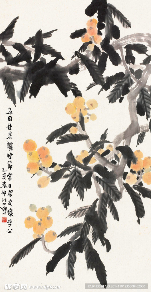 枇杷图