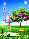 开满鲜花的大树