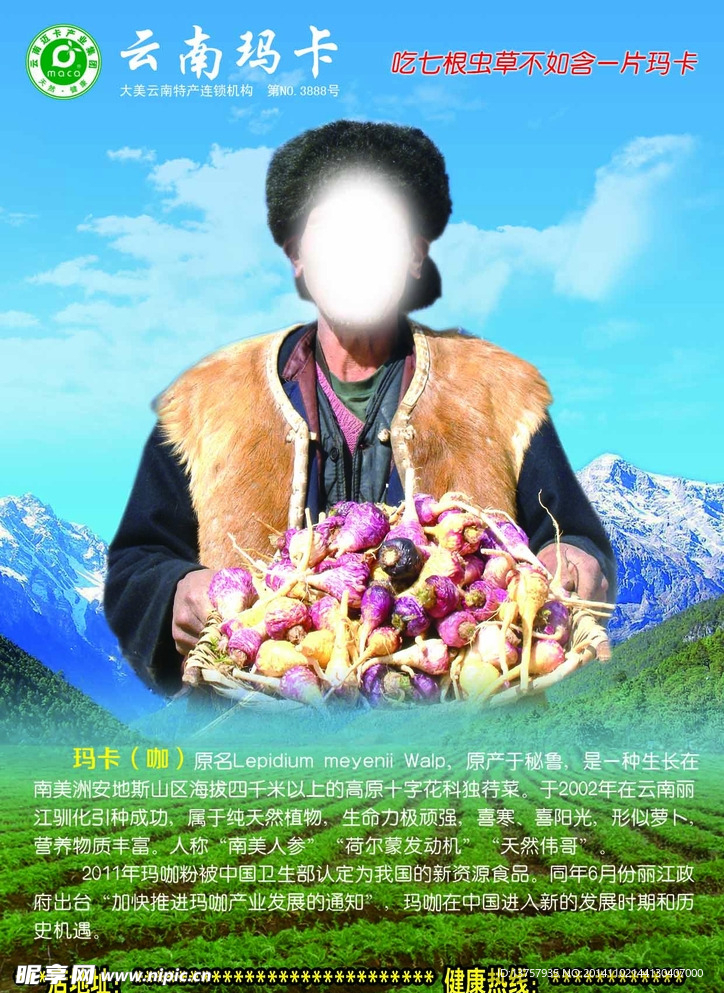 云南玛卡宣传彩页