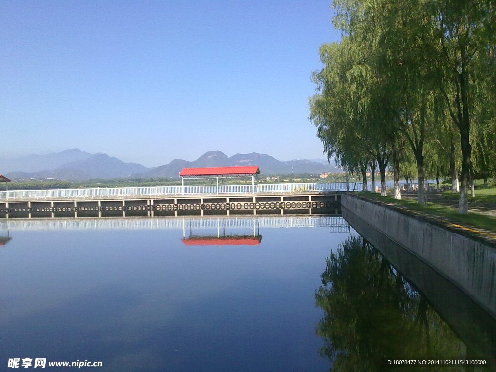 青龙湖水岸边的树