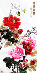 牡丹花开