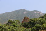 大山