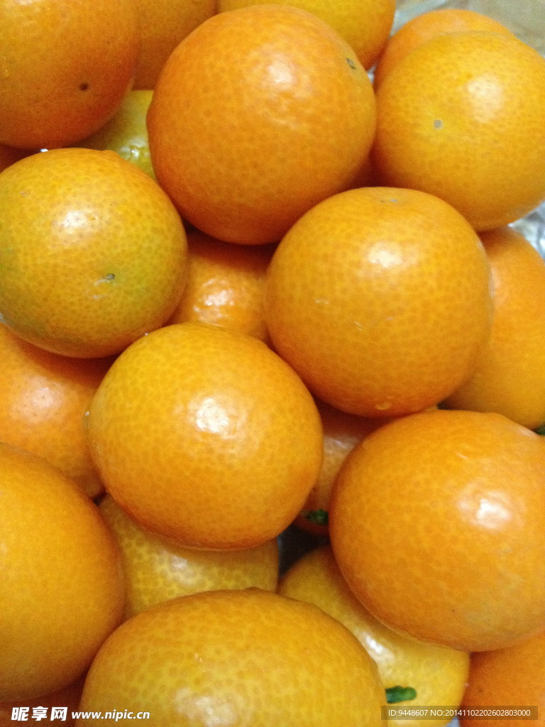 黄色金桔图片