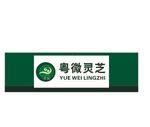 粤微灵芝