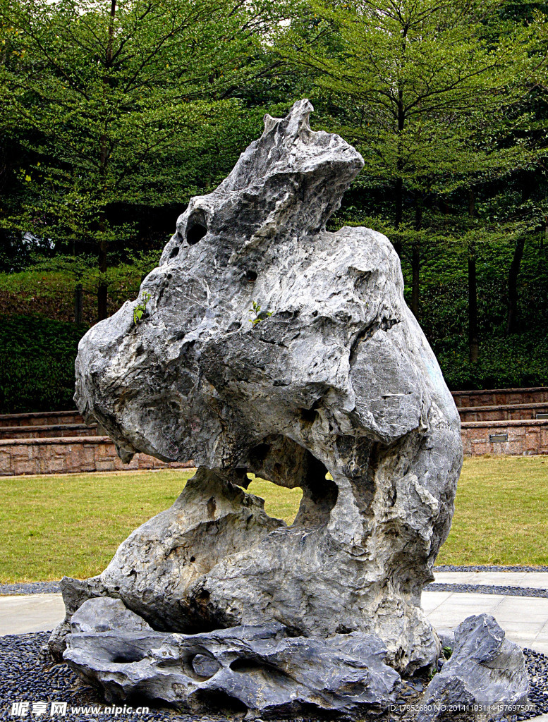 千灯湖奇石