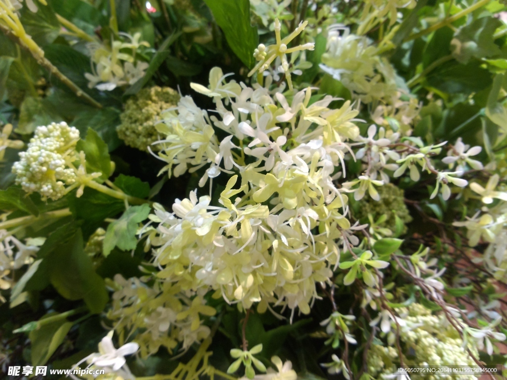 白色布艺鲜花
