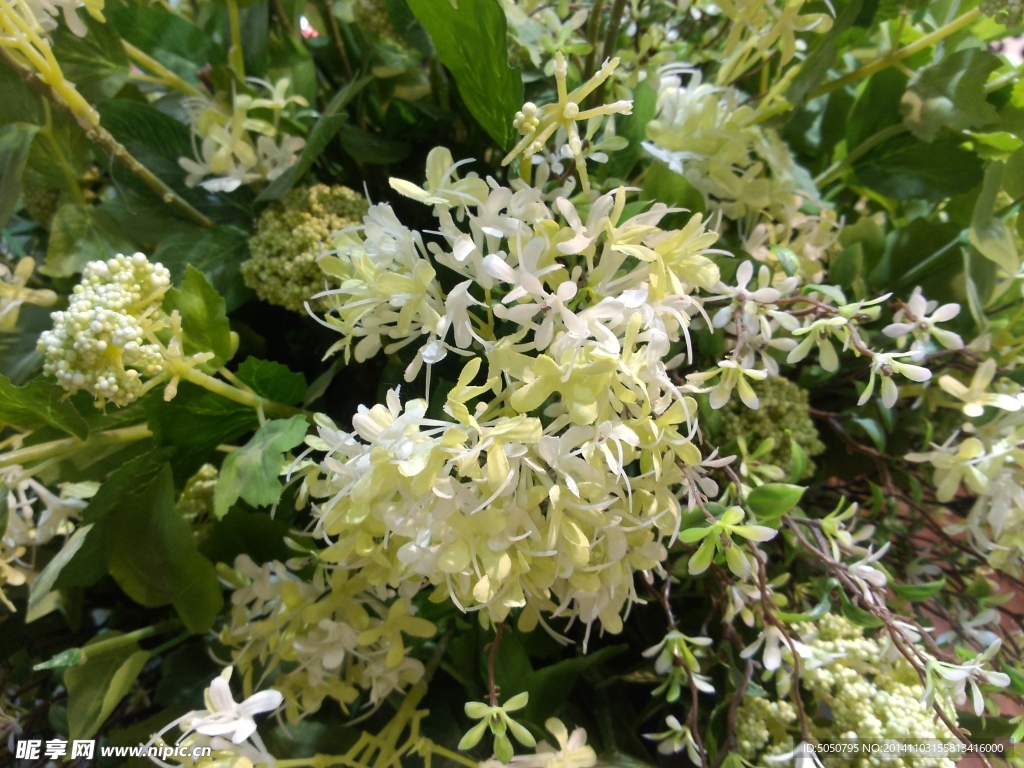 白色布艺鲜花