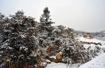 温州大罗山雪景