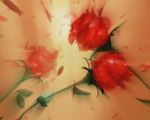 红花落