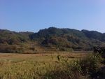 野外的风景