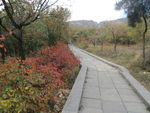 太室山秋季山景