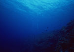 大海