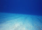 大海