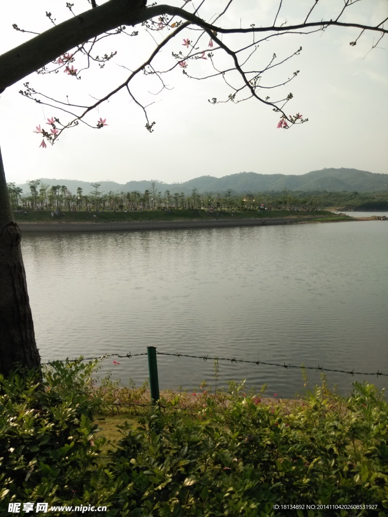 岛屿