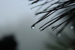 云雨