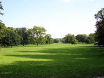 德国皇家公园内的草坪