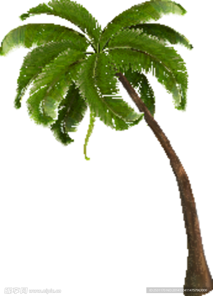 椰树