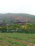 田园风景