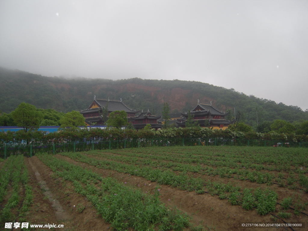 田园风景