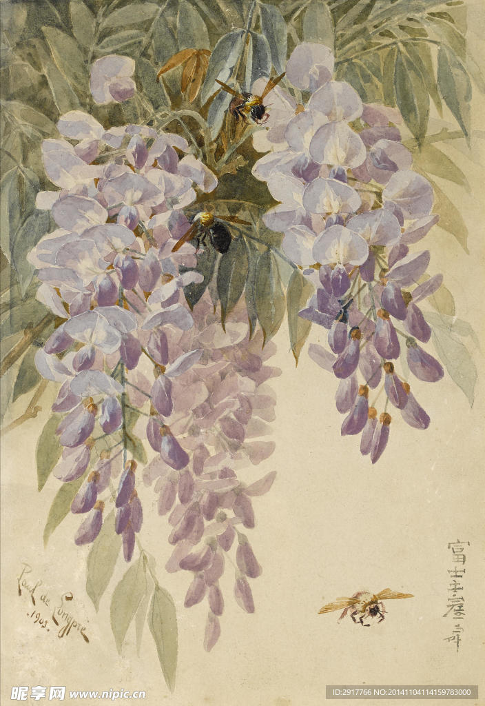 藤花