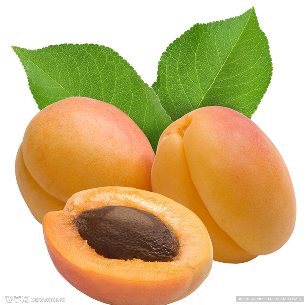 桃子素材