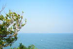 大海