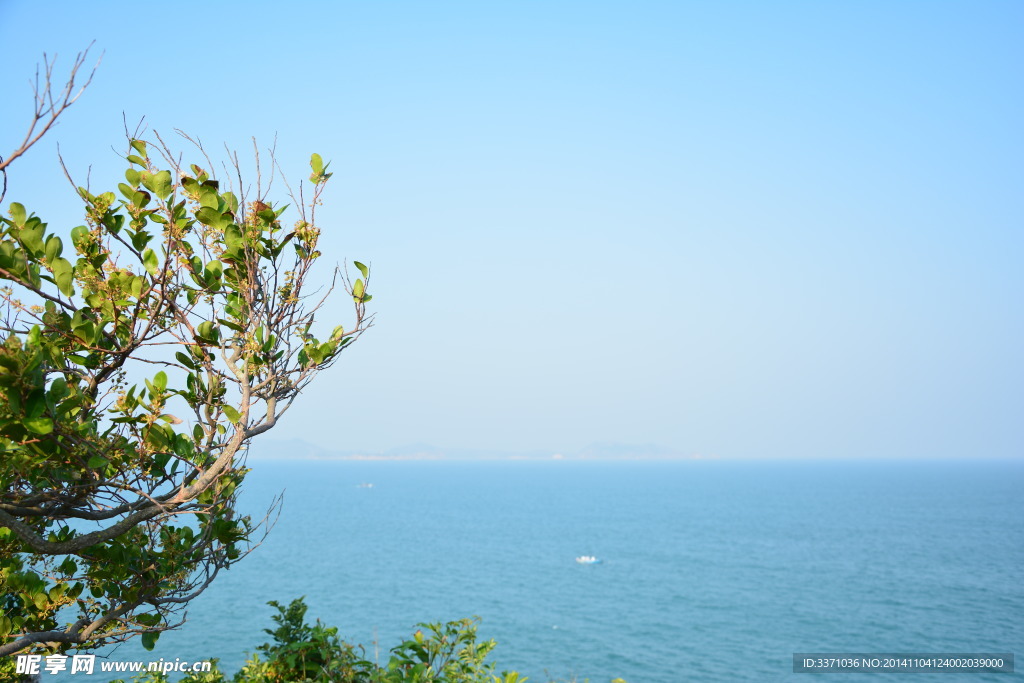 大海