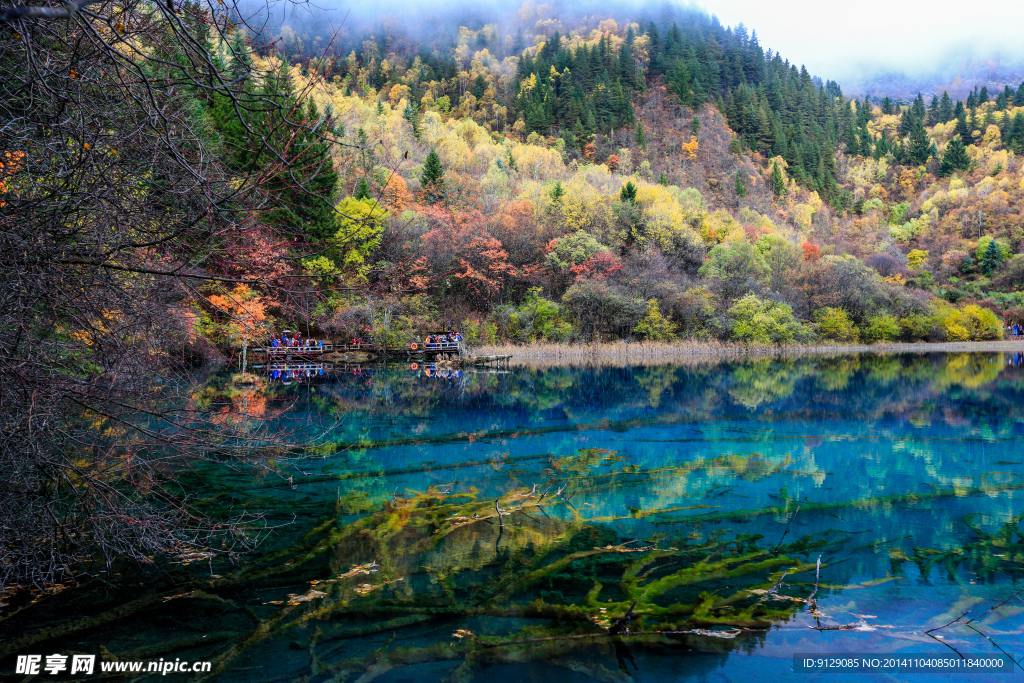 九寨沟 五花海