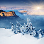 冬天雪景