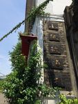 别墅花园 花园 路灯 