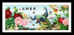 花开富贵孔雀