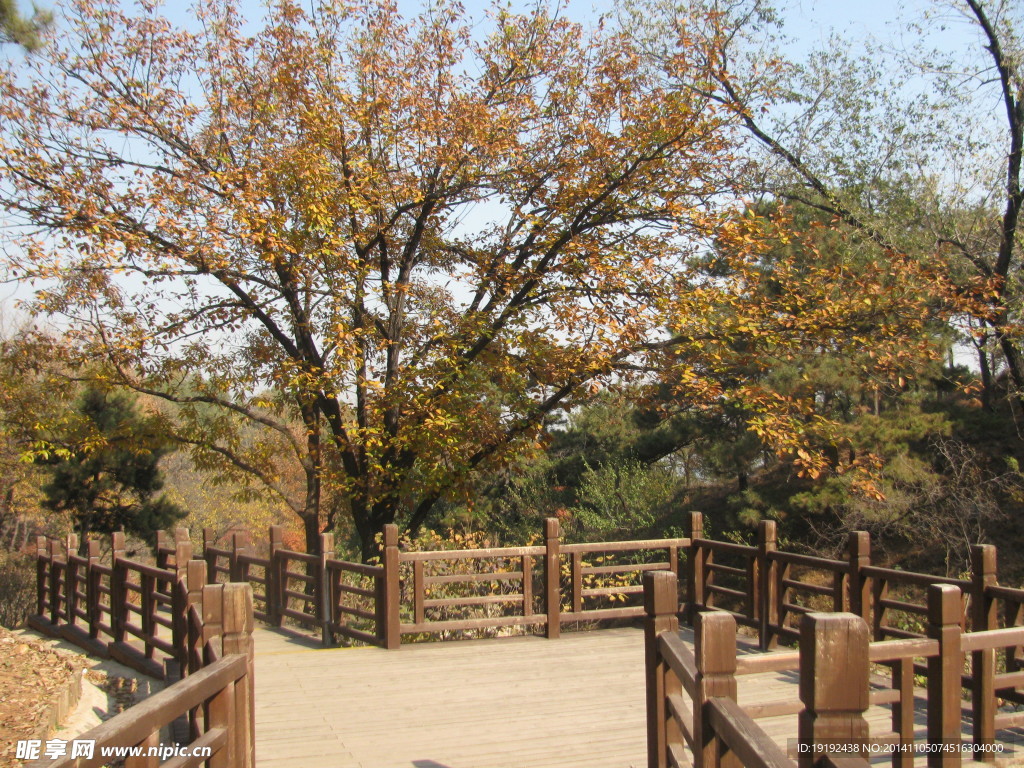 小路