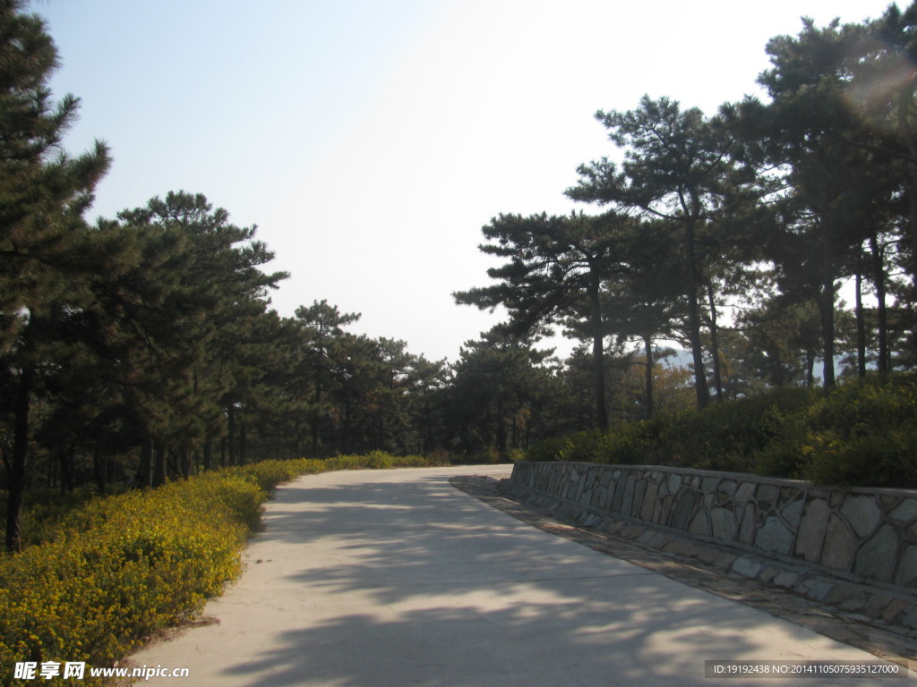 山路