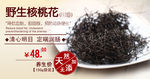 养生核桃花特价