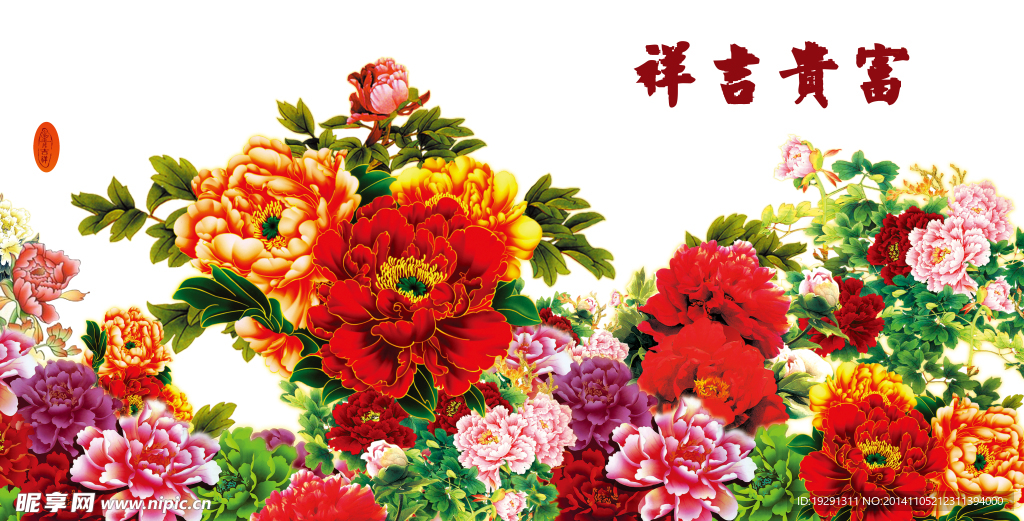 牡丹花