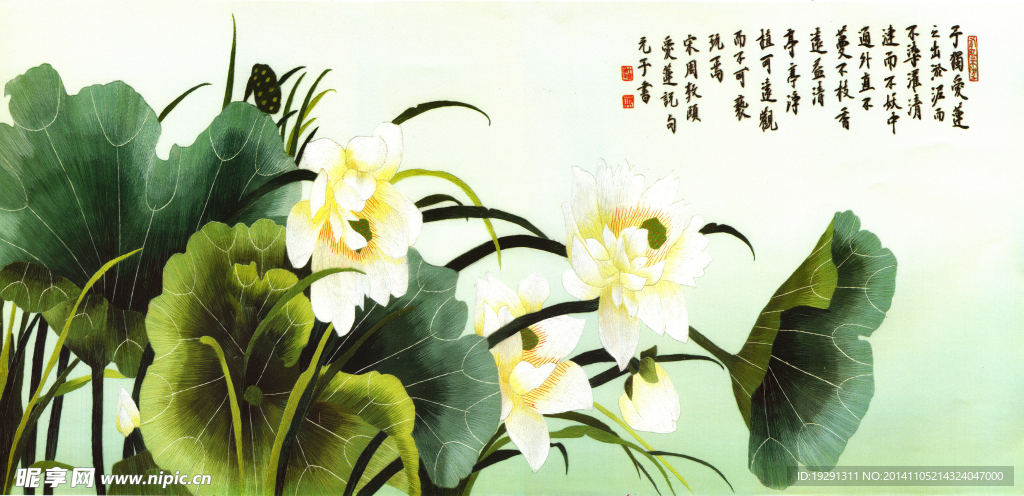 荷花国画