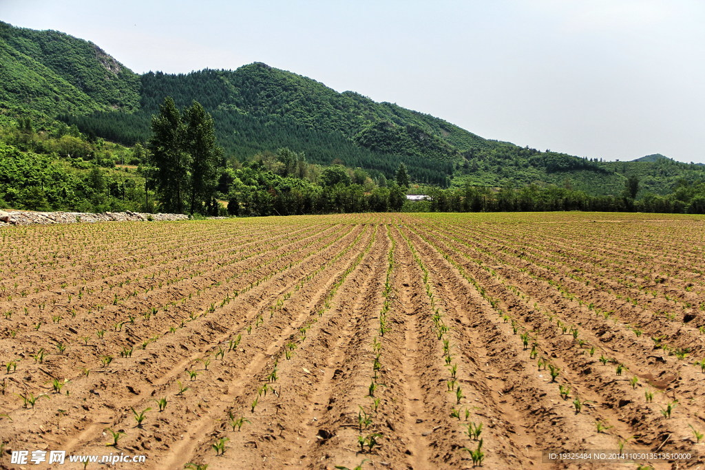 田园风光