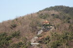 山林