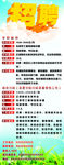 学校教师招聘广告