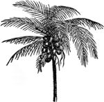 田园树林