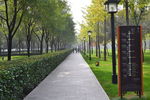 公园小路