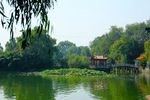 东湖