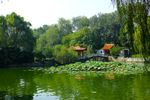 东湖